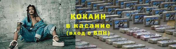 прущие грибы Алексеевка