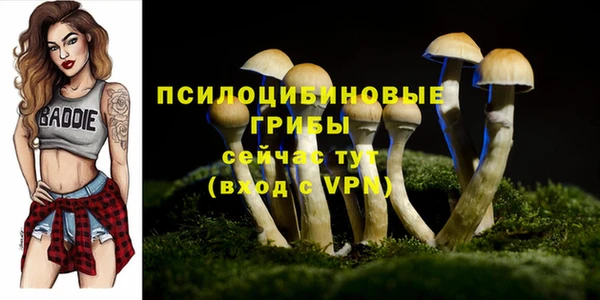 бошки Алзамай