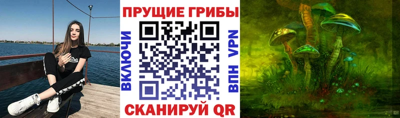 Галлюциногенные грибы Cubensis Белоозёрский